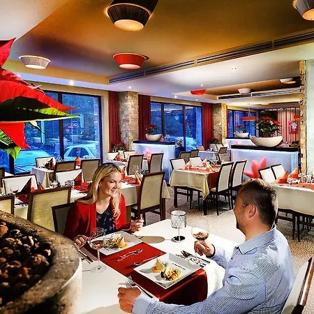 酒店 乔泊科健康酒店 4*